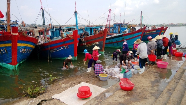 Chiều 20/9, tại chợ Đồng Hới, nhiều loại hải sản nằm trong danh mục được xác định nhiễm độc tố vẫn được bày bán tràn lan