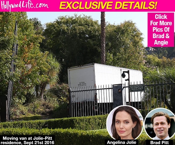 Angelina Jolie don do, mang con den Malibu hinh anh 1