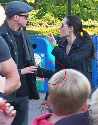 Brad Pitt bi dieu tra vi cao buoc bao hanh vo con hinh anh 1