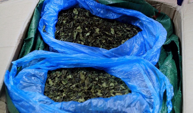 Số thảo mộc nghi là lá Khat bên trong các bưu kiện.
