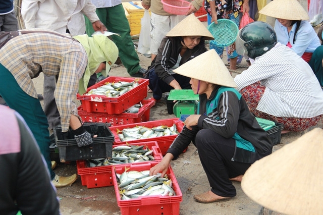 Nhóm hải sản sống ở tầng đáy trong phạm vi 13,5 hải lý trở vào bờ tại vùng biển 4 tỉnh miền Trung được xác định chưa an toàn (Ảnh minh họa: Đăng Đức).