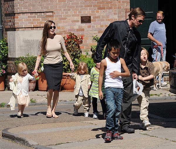 Brad Pitt bi cam gap con, cau xin Angelina co hoi thu hai hinh anh 2