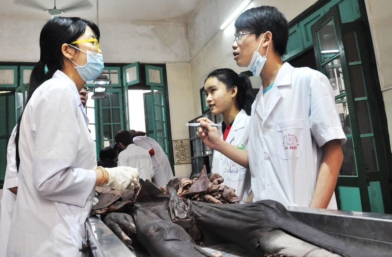 đào tạo ngành y, đào tạo y khoa, trường đại học y