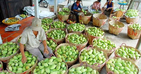 (Ảnh minh hoạ).