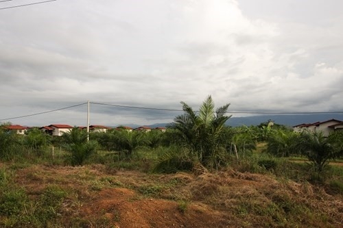 Neu Hoang Anh Gia Lai ban cao su tai Lao... hinh anh 4