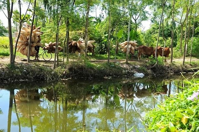 Lang nghe dan do hon 200 nam tuoi hinh anh 8