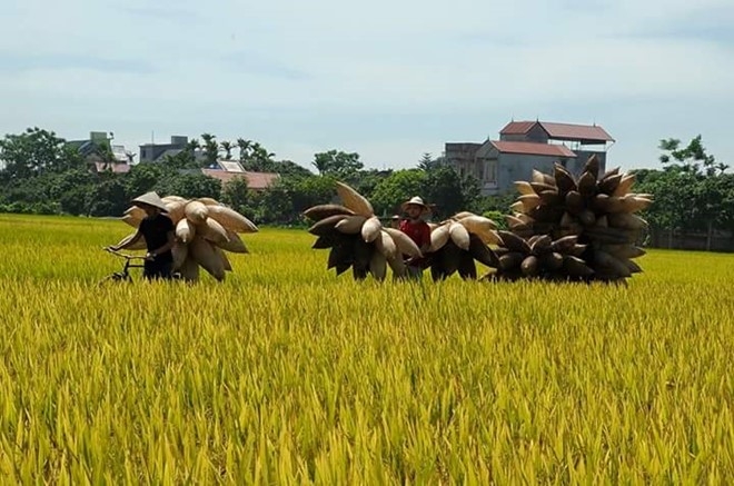 Lang nghe dan do hon 200 nam tuoi hinh anh 9