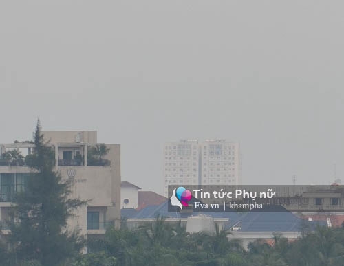 sai gon chim trong suong mu day dac giua trua - 4