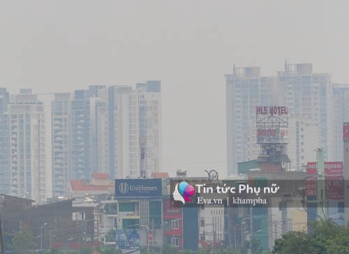 sai gon chim trong suong mu day dac giua trua - 7