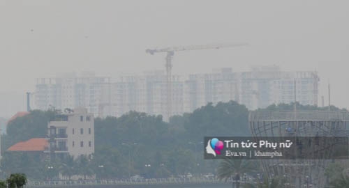 sai gon chim trong suong mu day dac giua trua - 8