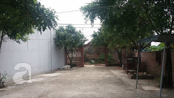 bạo hành