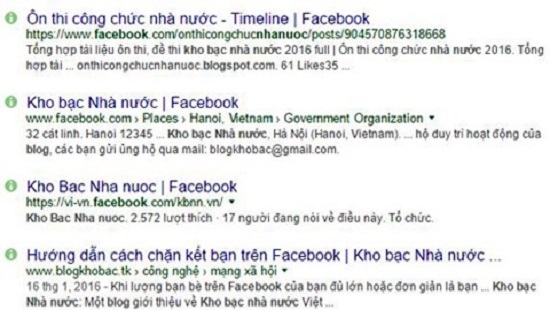 mao danh website kho bac nha nuoc de lua dao hinh anh 1