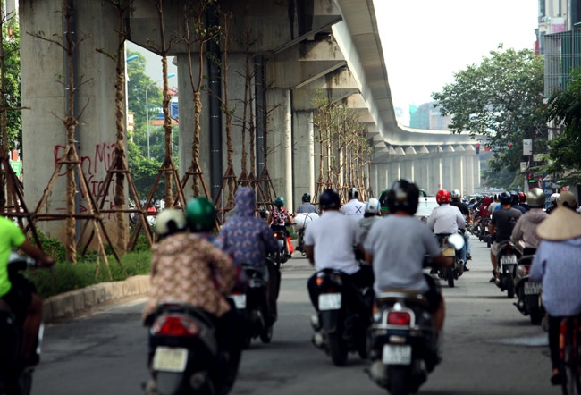 vi sao ha noi trong cay xanh duoi gam duong sat? hinh anh 3