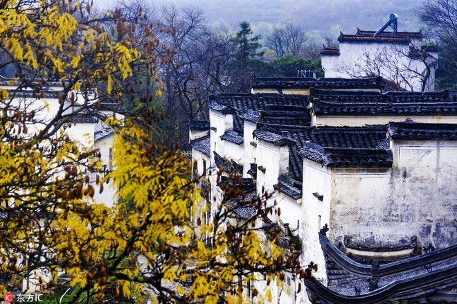 Mùa thu nhuộm sắc vàng ở Trung Quốc
