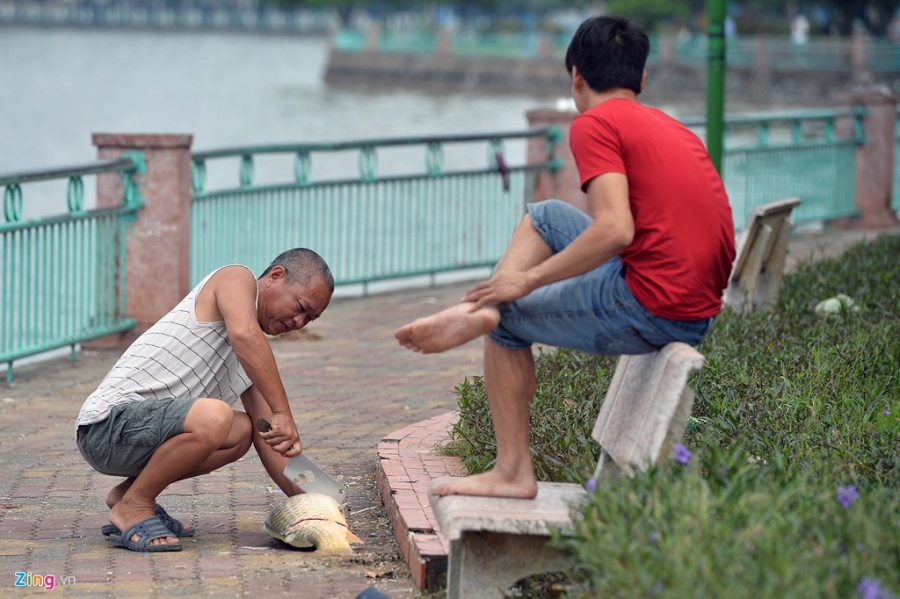 Ca chet ho Tay vot khong xue, xe thit ngay tai cho hinh anh 8