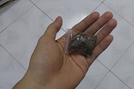 “Cỏ Mỹ” mua bán công khai giữa Hà Nội - ảnh 1