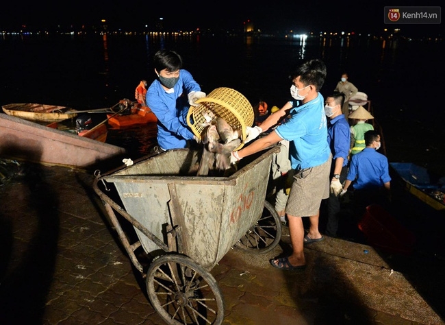 Hà Nội: Trắng đêm khắc phục hậu quả cá chết trắng ven hồ Tây - Ảnh 7.