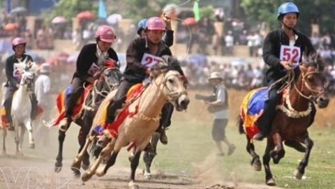 Kết quả hình ảnh cho Tập đoàn Hàn Quốc muốn chi 500 triệu USD xây trường đua ngựa tại Bắc Ninh