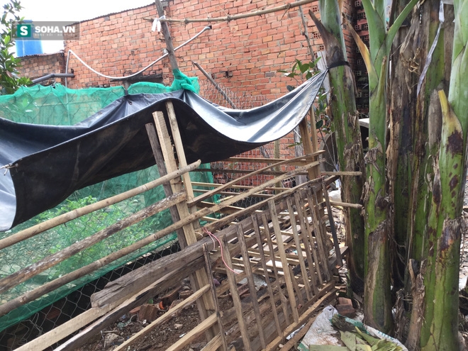 Một nhà có 3 chị em bị xâm hại tình dục, anh 21 tuổi kiếm tiền nuôi 4 em - Ảnh 3.