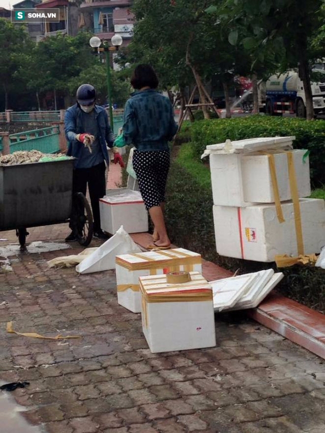 Nghi vấn lấy cá chết Hồ Tây tiêu thụ: Công an vào cuộc điều tra - Ảnh 1.