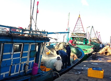  Cảng cá Phước tỉnh, nơi nhóm giang hồ thu tiền bảo kê của các đầu nậu 