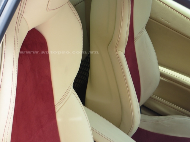 Giữa sống lưng của ghế ngồi là màu đỏ nhạt khá nổi bật.