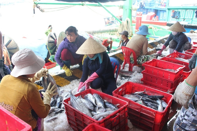Bà con ngư dân hối hả đưa cá lên bán
