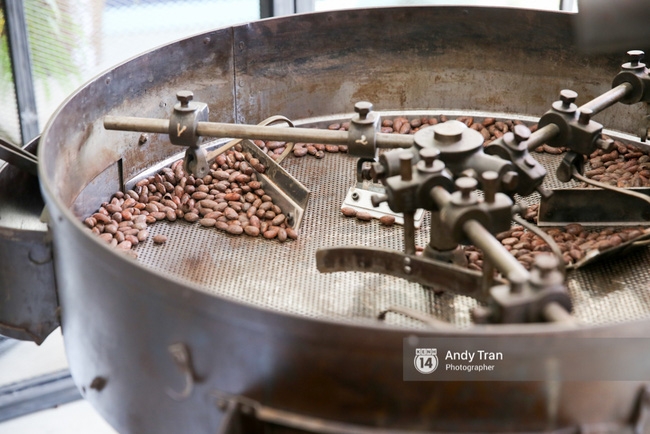 Việt Nam đang sở hữu loại chocolate ngon nhất thế giới - Ảnh 9.