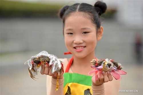 Nông dân tổ chức show thời trang cho... cua đồng ảnh 1