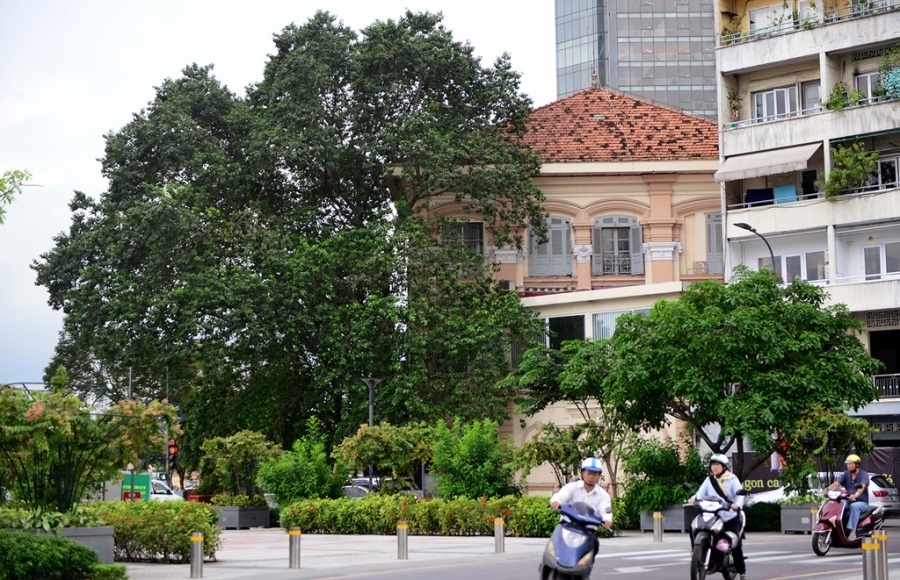 Nhung net kien truc tram tuoi tren pho di bo Nguyen Hue hinh anh 15