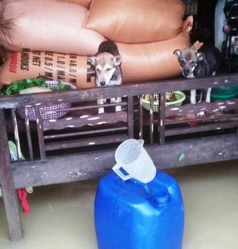 Chùm ảnh: Những hình ảnh nhói lòng về mưa lũ kinh hoàng ở miền Trung - Ảnh 17.