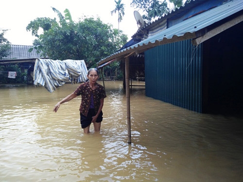 dem kinh hoang mo vot vo, con trong dong lu toi den - 4