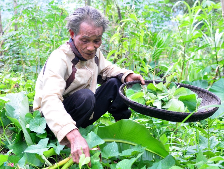 'Nguoi rung moi' 20 nam song don doc giua rung sau hinh anh 9