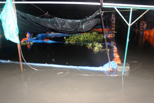 tphcm: vo bo bao, dan thao chay khoi nha trong dem hinh anh 6