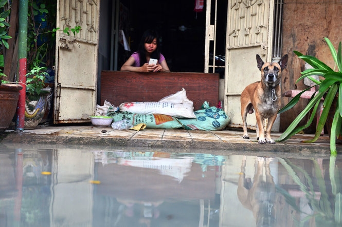 Không mưa, người Sài Gòn vẫn “be bờ” chống ngập 