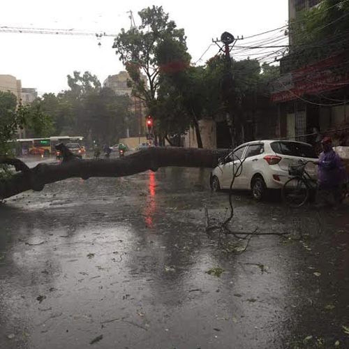 Ảnh hưởng bão số 7, Hà Nội có mưa lớn và gió giật cấp 6 - 1
