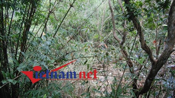 hiện trường máy bay rơi, rơi máy bay, máy bay rơi, máy bay trực thăng, máy bay quân sự