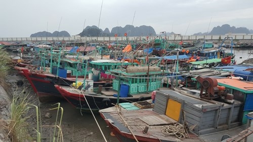 “Chạy đua” cùng bão số 7 ảnh 1