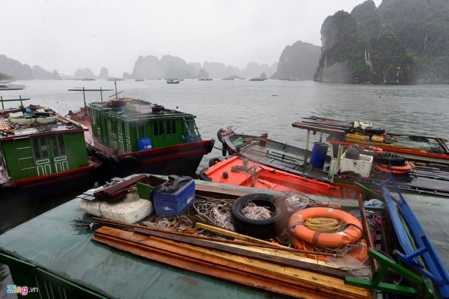 Ha Long vang ve sau khi bao tan hinh anh 10