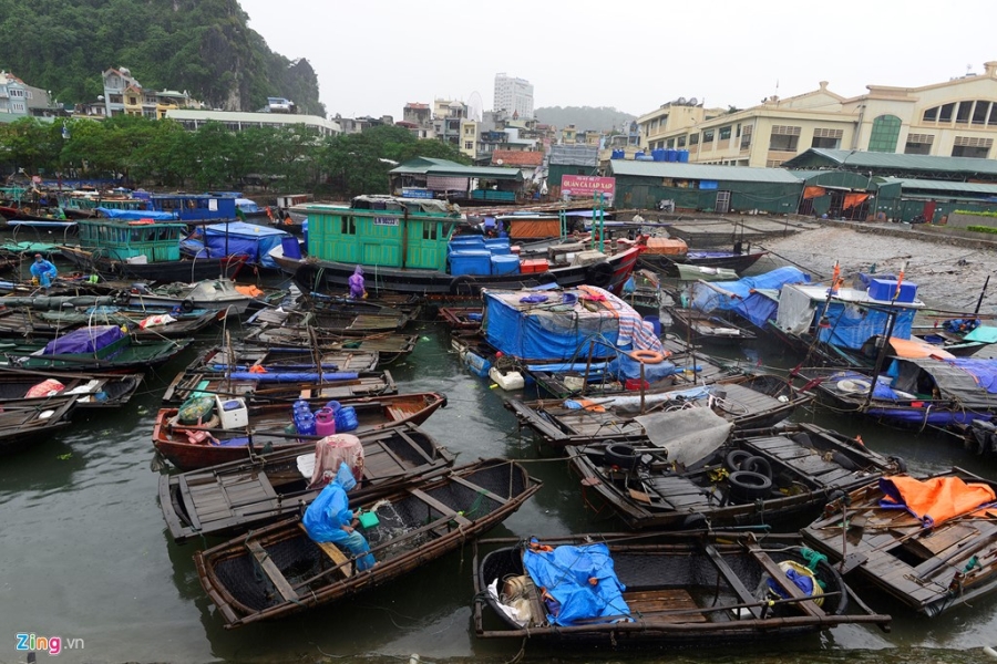 Ha Long vang ve sau khi bao tan hinh anh 11