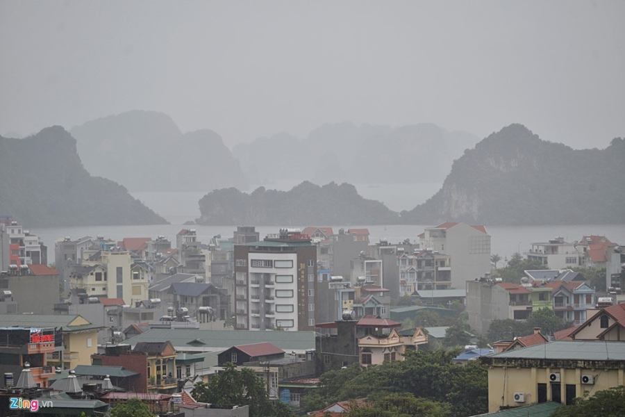 Pho thu tuong thi sat cong tac chong bao tai Quang Ninh hinh anh 6