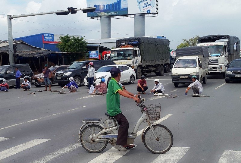 cá chết, thiếu ôxy, xã Long Sơn, chế biến hải sản, bà rịa vũng tàu