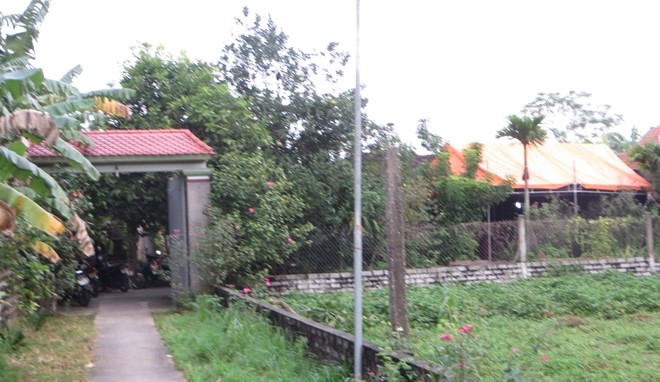 Co giao tieu hoc tu tu tai nha rieng hinh anh 1