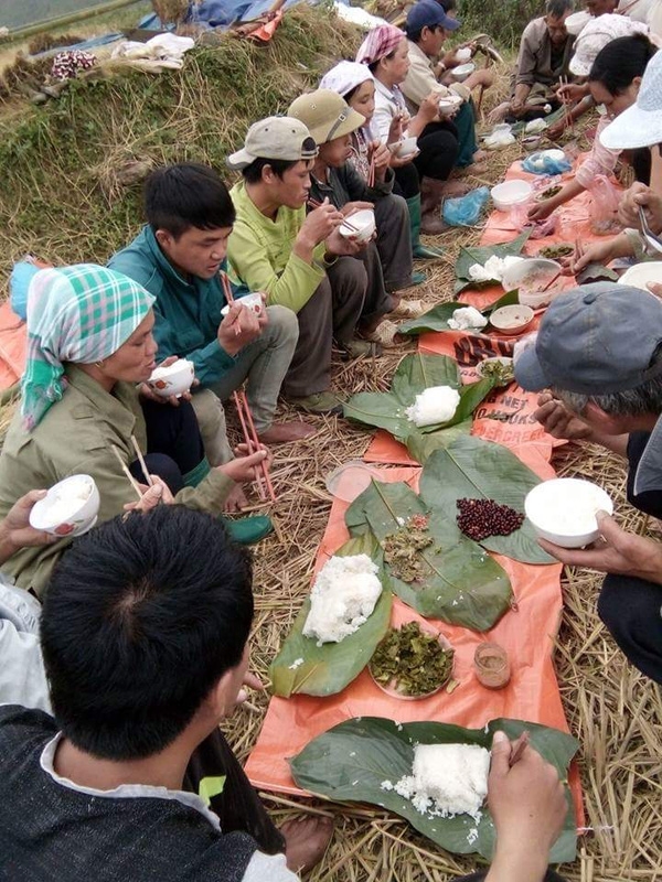 cơm trưa của người nông dân nghèo