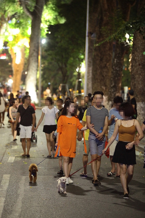 cam cho o pho di bo: chu nhet cho vao tui de qua chot hinh anh 5