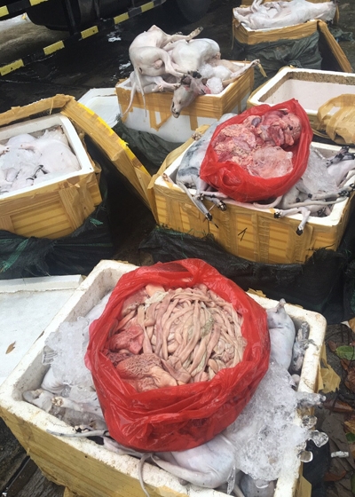 gan-700-kg-thit-cho-meo-boc-mui-chun-bi-vao-nha-hang