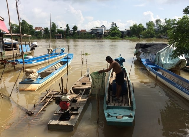 Dân miền Tây hay dùng chiếc vỏ lãi này để làm phương tiện đi lại (ảnh minh họa)