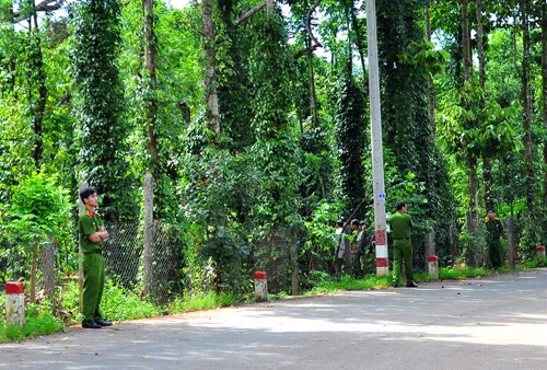 Cảnh sát đang tìm hung khí gây án mà Nhân vứt cách căn biệt thự 200 m. Ảnh: Phước Tuấn