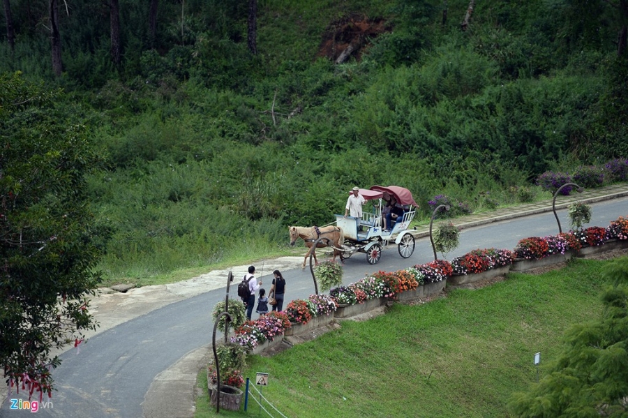 Thung lung Tinh yeu noi tieng nhat Viet Nam hinh anh 8