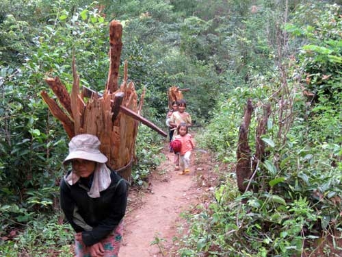lang som toi deu say xin: goi nhau di uong ruou tu 5 gio sang hinh anh 1